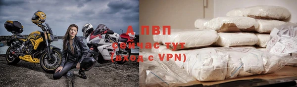стаф Нягань