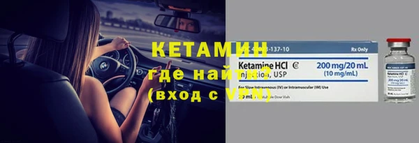 прущие грибы Няндома