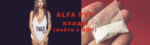 прущие грибы Няндома