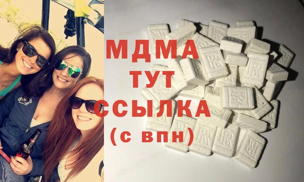 прущие грибы Няндома