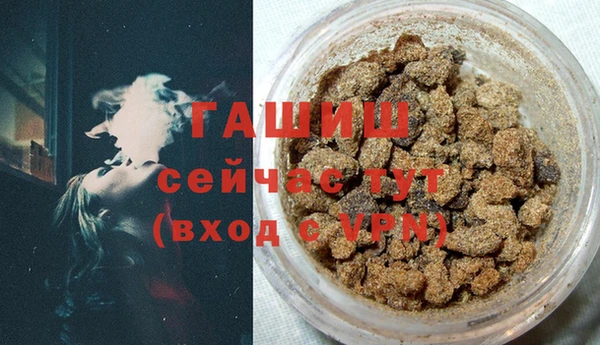 прущие грибы Няндома