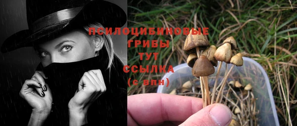 spice Новокубанск