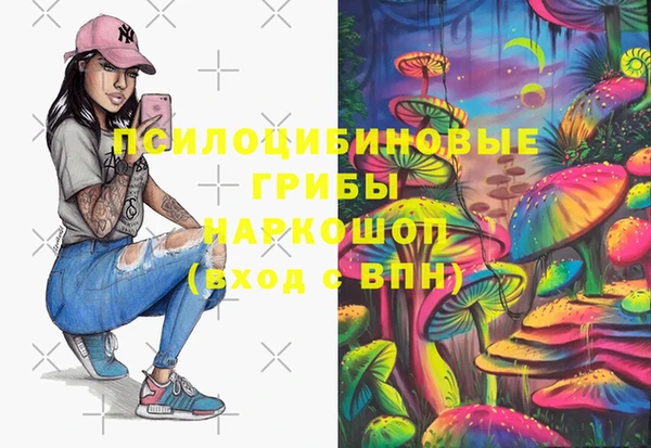 прущие грибы Няндома