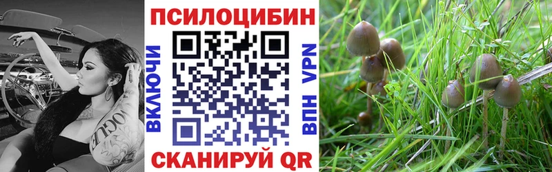магазин продажи наркотиков  Зея  Псилоцибиновые грибы GOLDEN TEACHER 